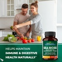 sandhuherbals-sandhu-herbals-sea-moss-ma-4.jpg