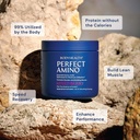 bodyhealth-perfectamino-powder---bcaa-an-3.jpg