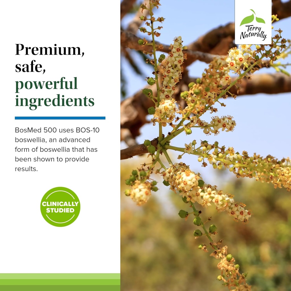terry-naturally-bosmed-500---boswellia-s-5.jpg