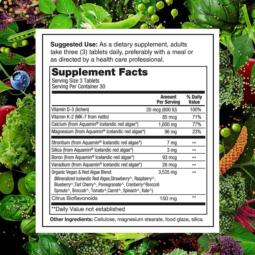 plantfusion-complete-vegan-protein-powde-5.jpg