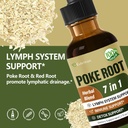 poke-root-drops-for-lymph-system-support-2.jpg