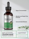horbaach-goldenseal-root-tincture-1-fl-o-3.jpg