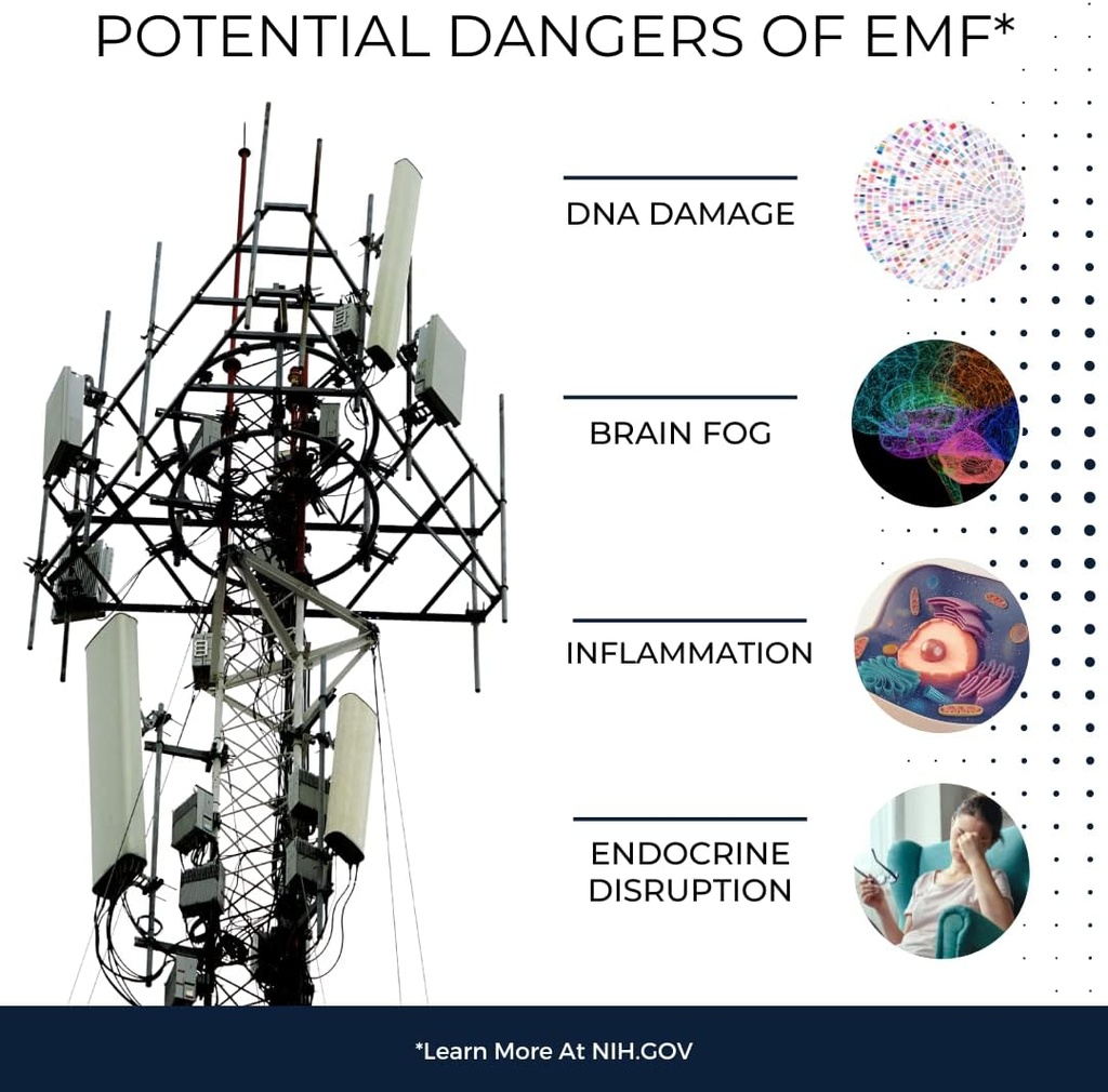 5g-emf-defense---endocrine-disruptor-cle-3.jpg