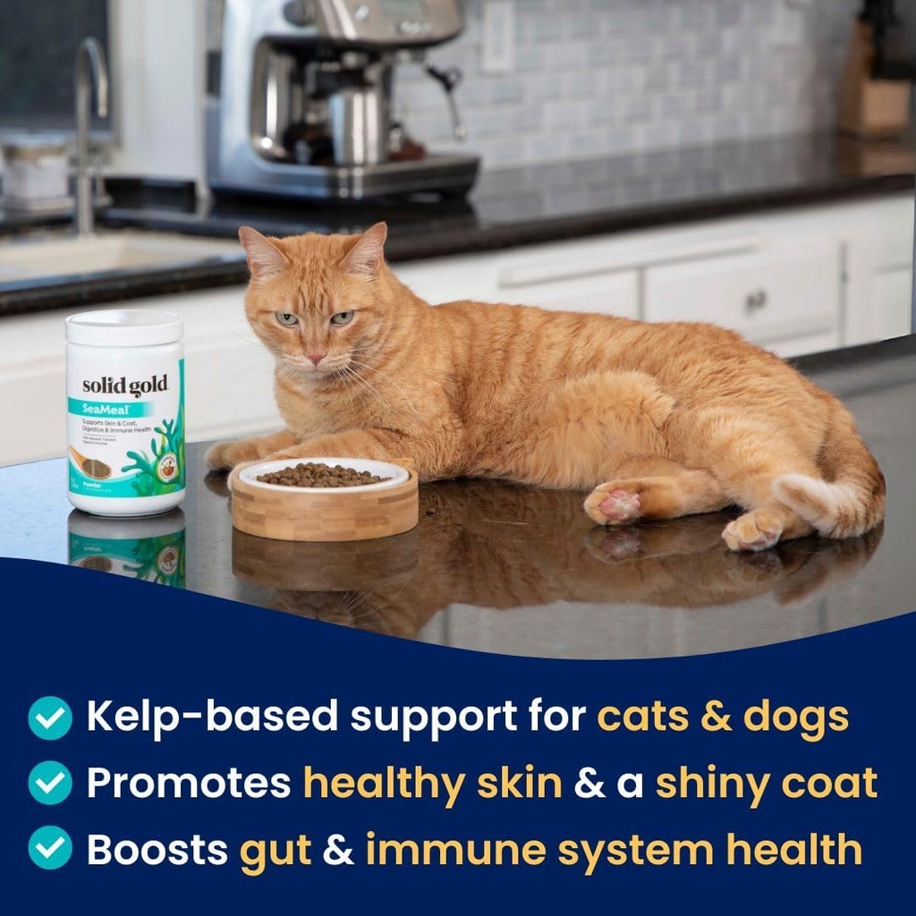 solid-gold-cat-dog-multivitamin-powder---2.jpg