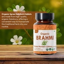 brahmi-120-tablets-usda-organic-bacopa-m-2.jpg