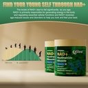 nad-supplement-nad-nicotinamide-riboside-5.jpg