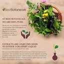 best-botanicals-bladderwrack-herb-powder-3.jpg