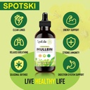 mullein-drops-for-lungs---lung-detox-for-4.jpg