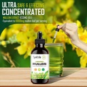 mullein-drops-for-lungs---lung-detox-for-5.jpg