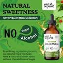 wild-organic-goldenseal-tincture-4-fl-oz-5.jpg