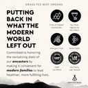 ancestral-supplements-grass-fed-beef-org-4.jpg