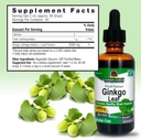 natures-answer-alcohol-free-ginkgo-bilob-3.jpg