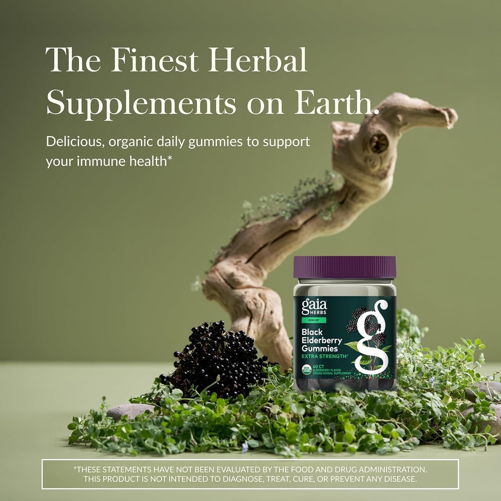 gaia-herbs-black-elderberry-sambucus-nig-2.jpg