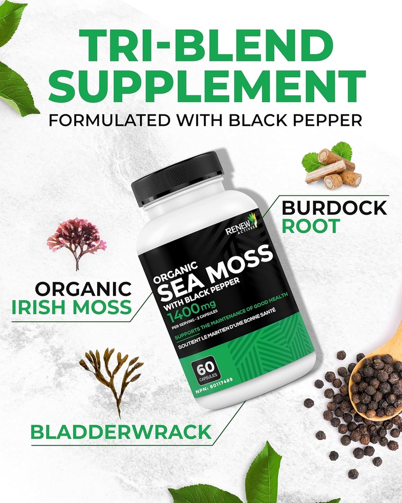 renew-actives-sea-moss-triple-action-ant-4.jpg