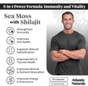 atlantic-naturals-sea-moss-superfood-bun-4.jpg