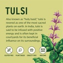 banyan-botanicals-tulsi-holy-basil-uplif-3.jpg