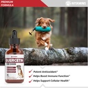 quercetin-for-dogs-dog-allergy-relief-qu-2.jpg