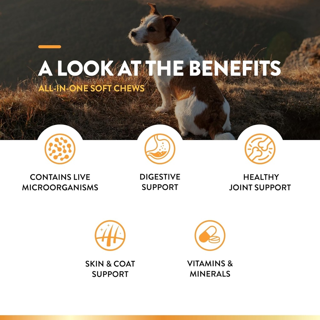 naturvet-all-in-one-dog-supplement---for-2.jpg