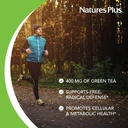 naturesplus-herbal-actives-green-tea---6-4.jpg