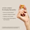 stonehenge-health-dynamic-turmeric-curcu-3.jpg
