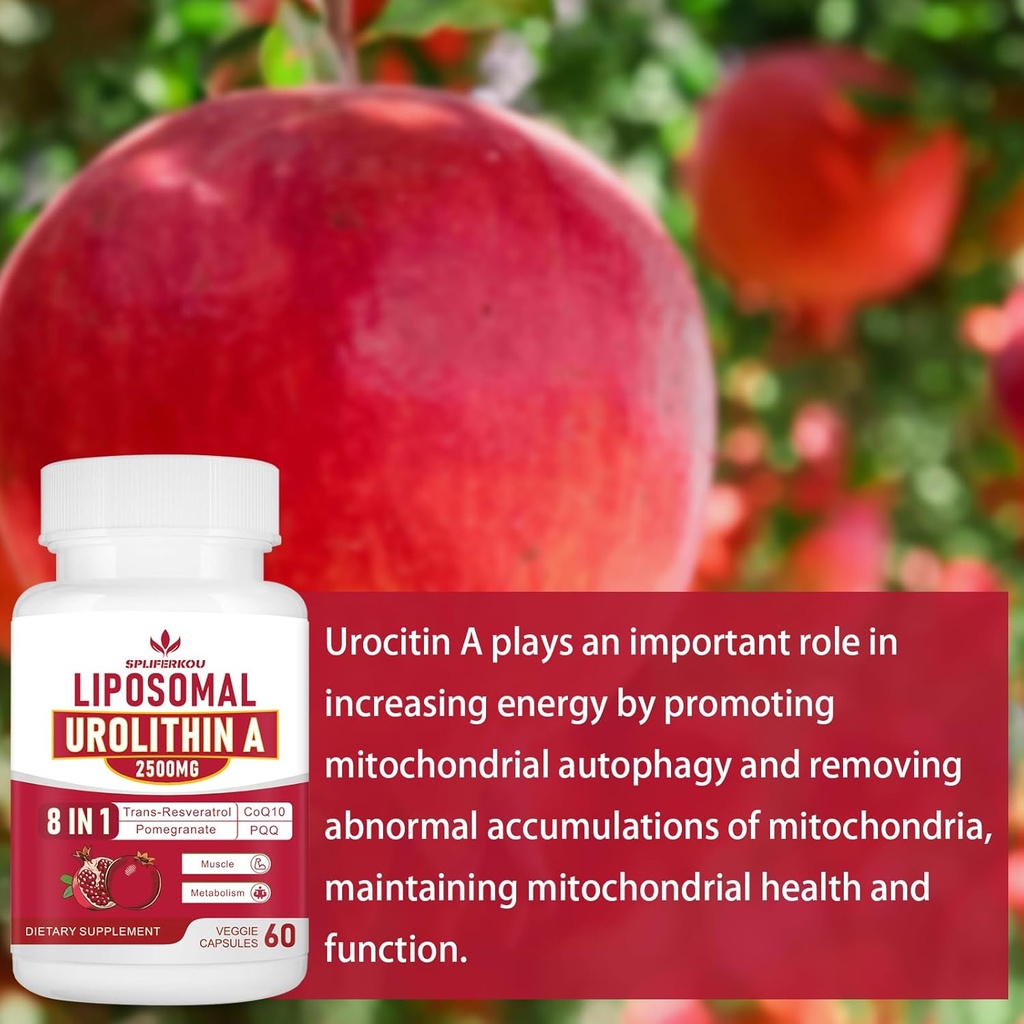 liposomal-urolithin-a-supplement-2500mg--6.jpg
