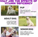 15-in-1-dog-multivitamin-all-in-one-mult-4.jpg