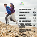 veincare-herbal-nutrients-that-support-c-5.jpg