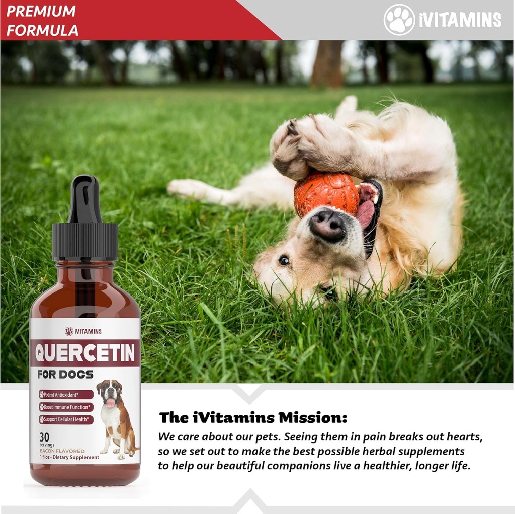 quercetin-for-dogs-dog-allergy-relief-qu-5.jpg