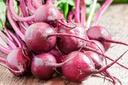 pure-original-ingredients-beet-root-730--5.jpg