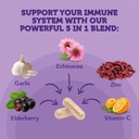 vitamin-bounty-elderberry-organic-elderb-6.jpg