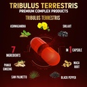 tribulus-terrestris-supplement-for-men-w-5.jpg