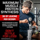 nutrex-research-eaa-hydration-blueberry--3.jpg