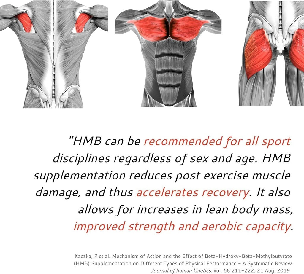 generic-senta-hmb-supplement-1000mg-supp-3.jpg