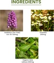 green-organic-supplements-butterbur-feve-3.jpg