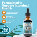 rejuvica-health-intesticlear---advanced--2.jpg