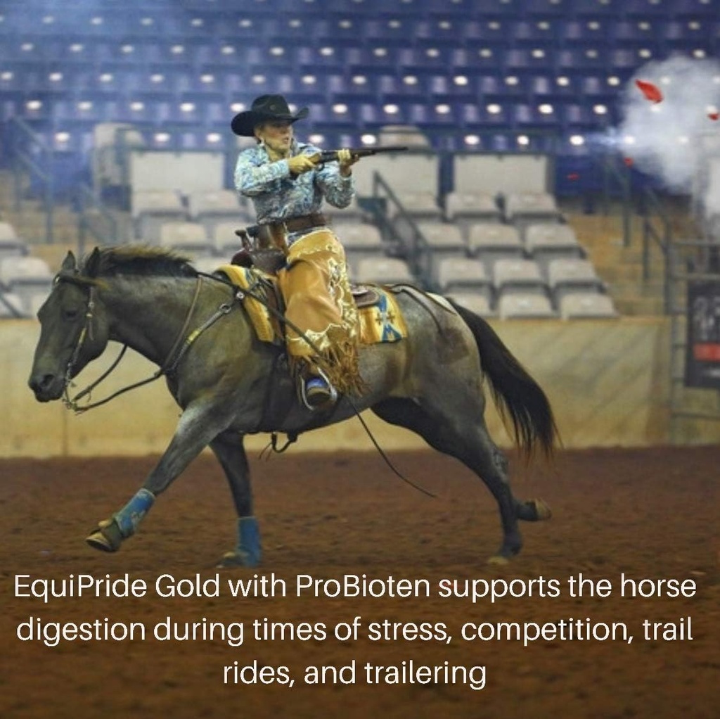 gold-with-probiotein-supports-the-horse--3.jpg