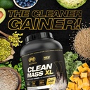 pvl-gold-series---clean-mass-xl---the-cl-2.jpg