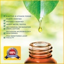quantum-nutrition-labs-max-energy-bs---2-2.jpg