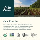 gaia-herbs-lactation-support---supports--5.jpg