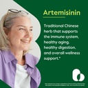 bestvite-artemisinin-100mg-per-capsule-1-2.jpg