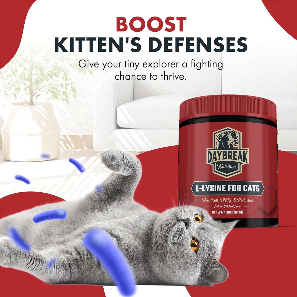 l-lysine-for-cats-and-kittens---900-mg-l-3.jpg