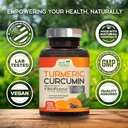turmeric-curcumin-supplement-2600mg---95-4.jpg
