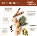 himalaya-koflet-lozenges-vanilla-chai-fl-4.jpg