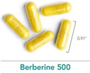 nutricology-berberine-500mg-supplement---4.jpg