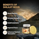 boysea-shilajit-resin-600-mg-80-servings-4.jpg