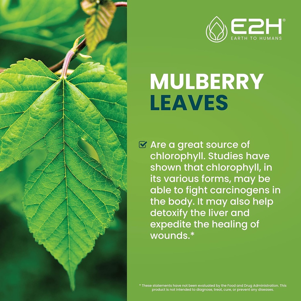 e2h-liquid-chlorophyll-and-liver-support-2.jpg
