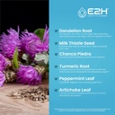 e2h-liquid-chlorophyll-and-liver-support-4.jpg