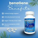 benagene-oxaloacetate-supplement---suppo-2.jpg