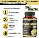 premium-garcinia-cambogia-capsules-with--3.jpg