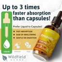 propolis-extract-drops---propolis-tinctu-3.jpg
